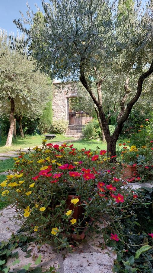 Azienda Agrituristica Corteforte Fumane Eksteriør billede