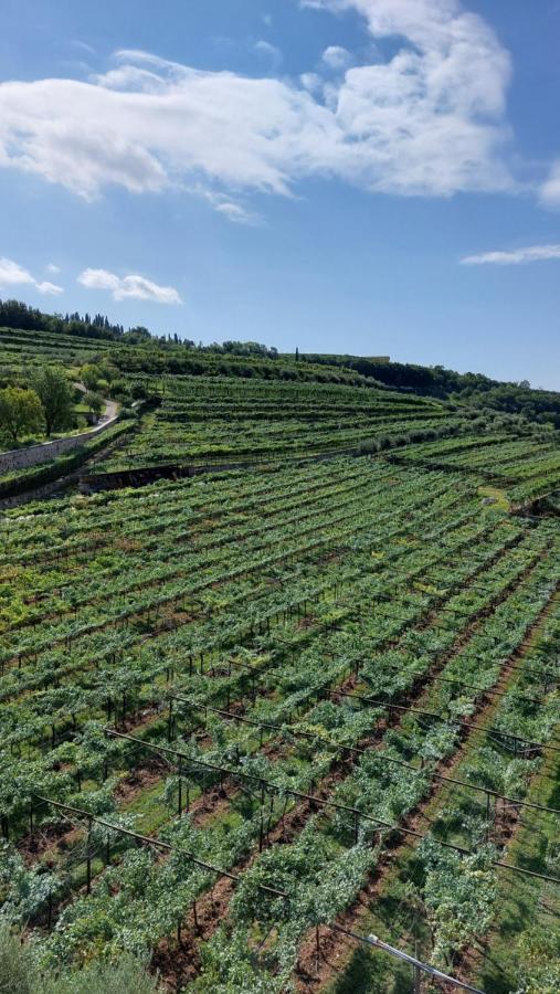 Azienda Agrituristica Corteforte Fumane Eksteriør billede