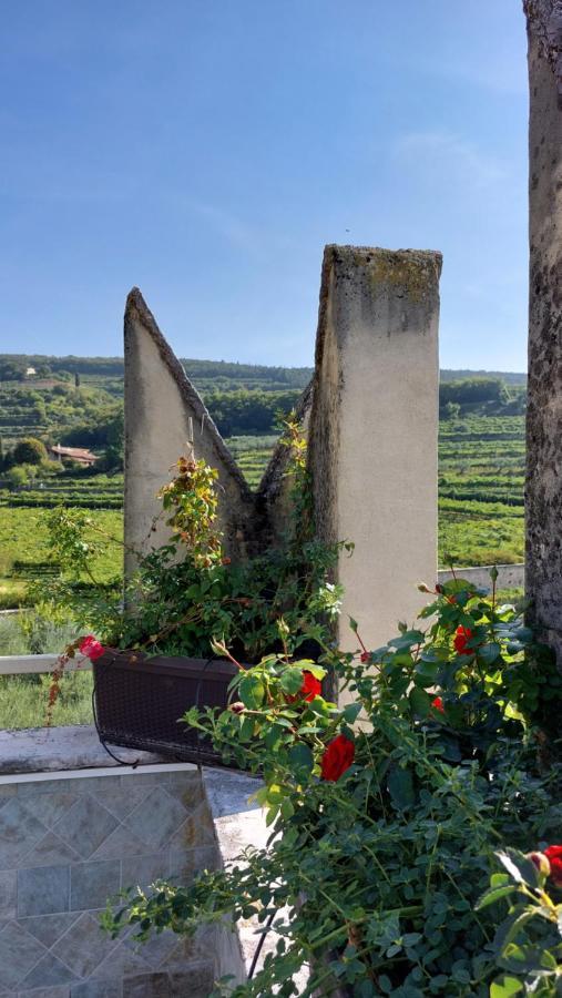 Azienda Agrituristica Corteforte Fumane Eksteriør billede