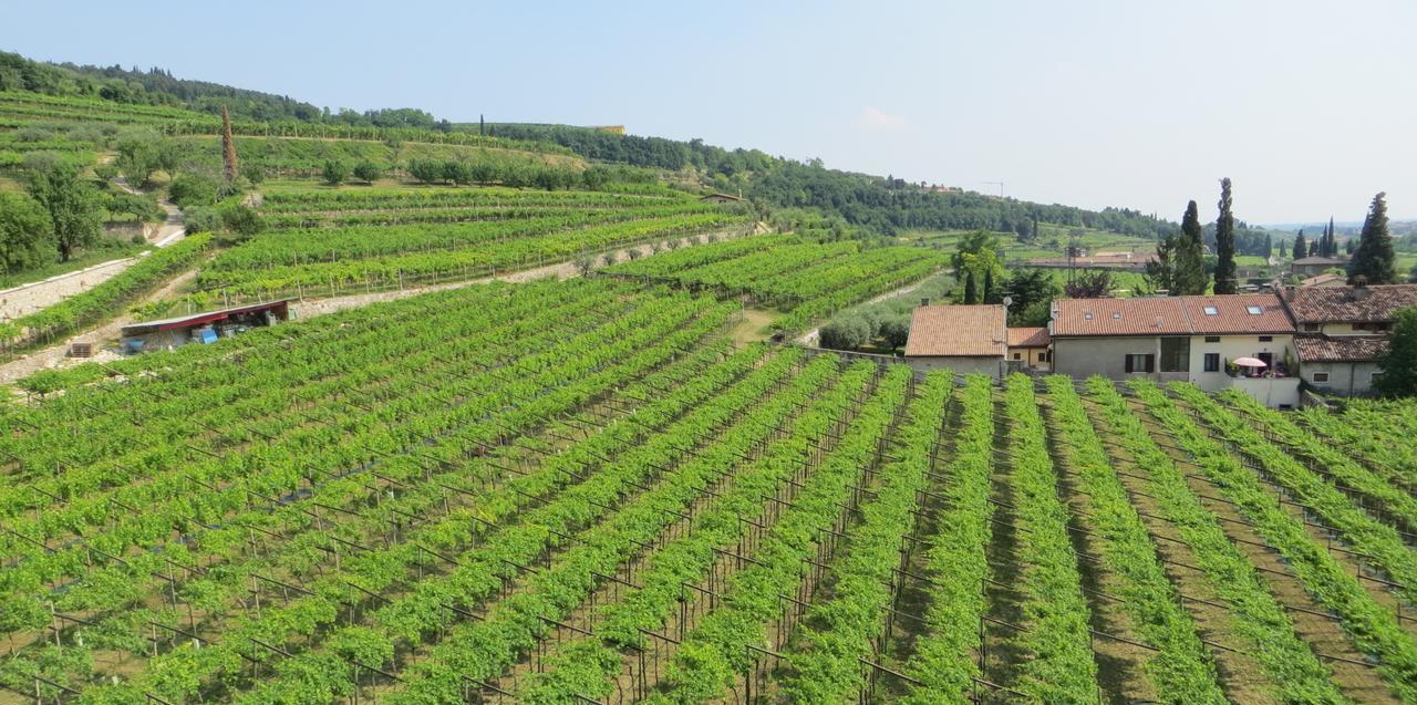 Azienda Agrituristica Corteforte Fumane Eksteriør billede